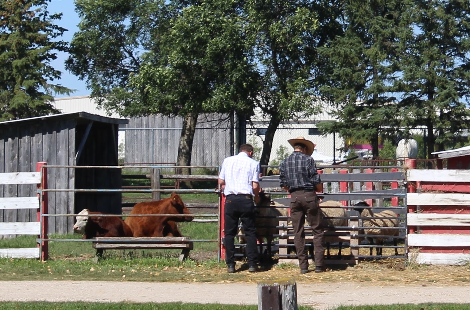 Green Pastures Farm Steinbach Trip