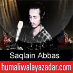https://www.humaliwalyazadar.com/2018/09/saqlain-abbas-nohay-2019.html