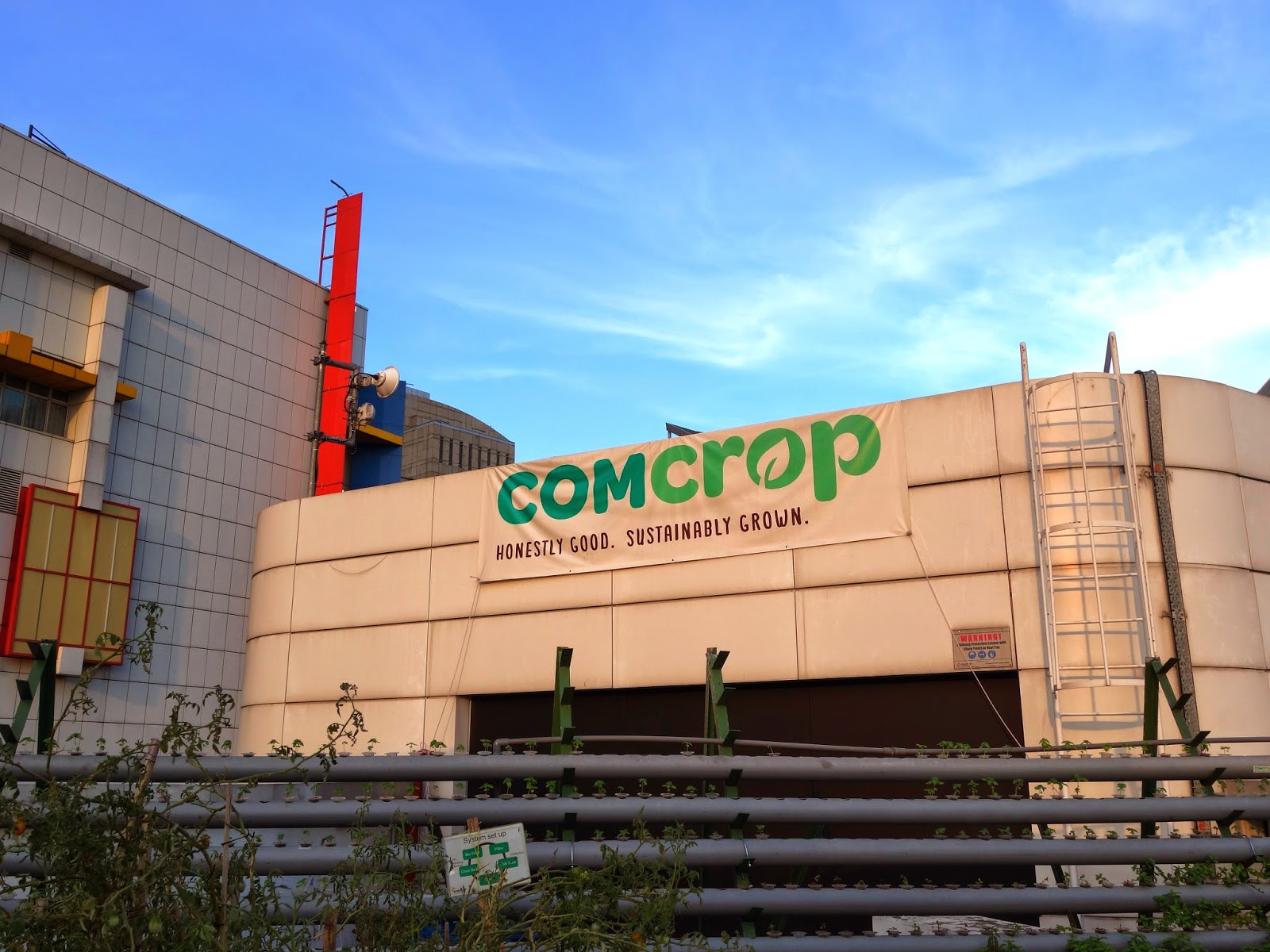 PinkyPiggu: Comcrop @ *Scape ~ Singapore's First Rooftop Aquaponic Farm ...