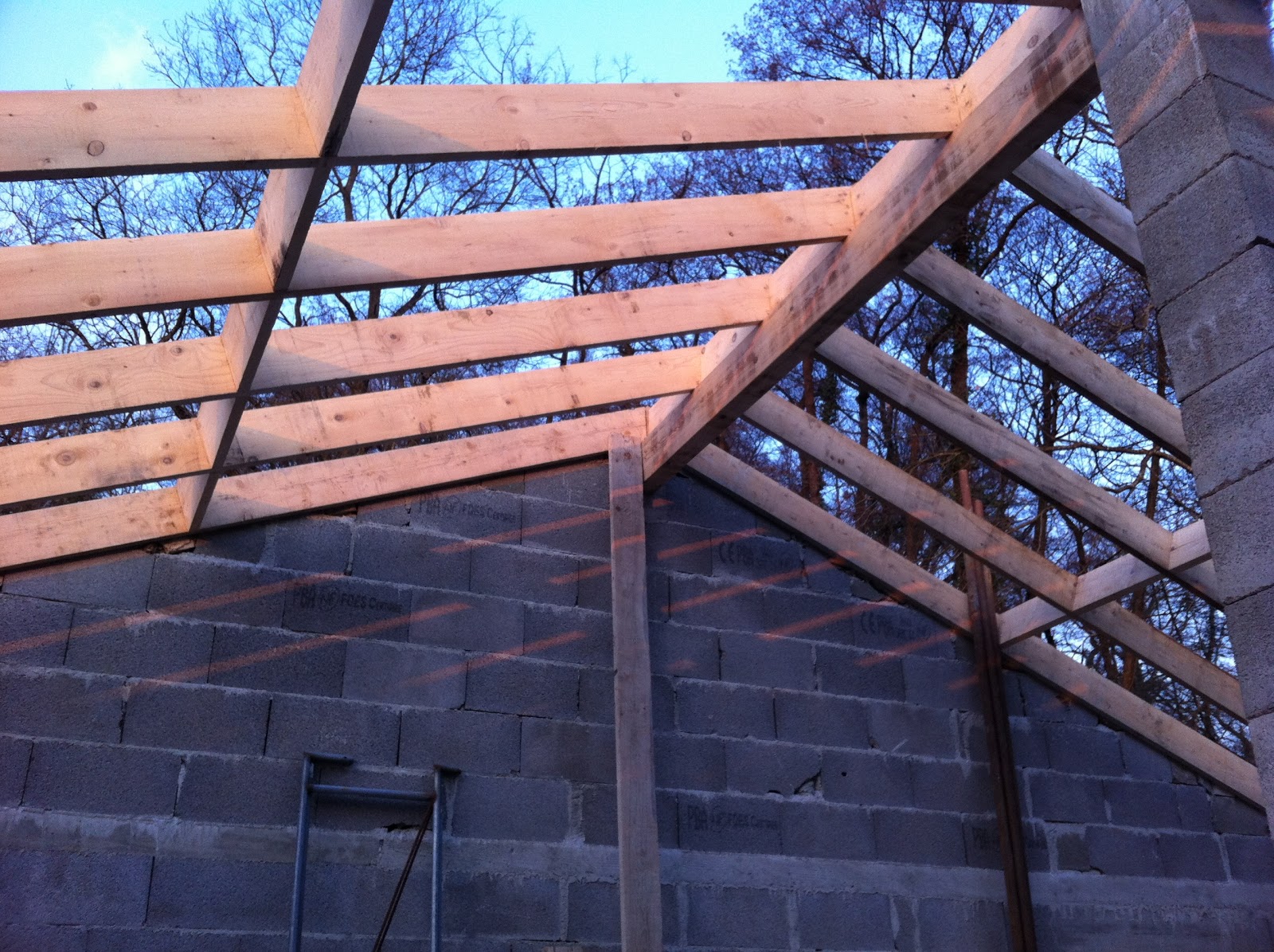 Notre projet maison EUROMAC 2 Fin de la charpente
