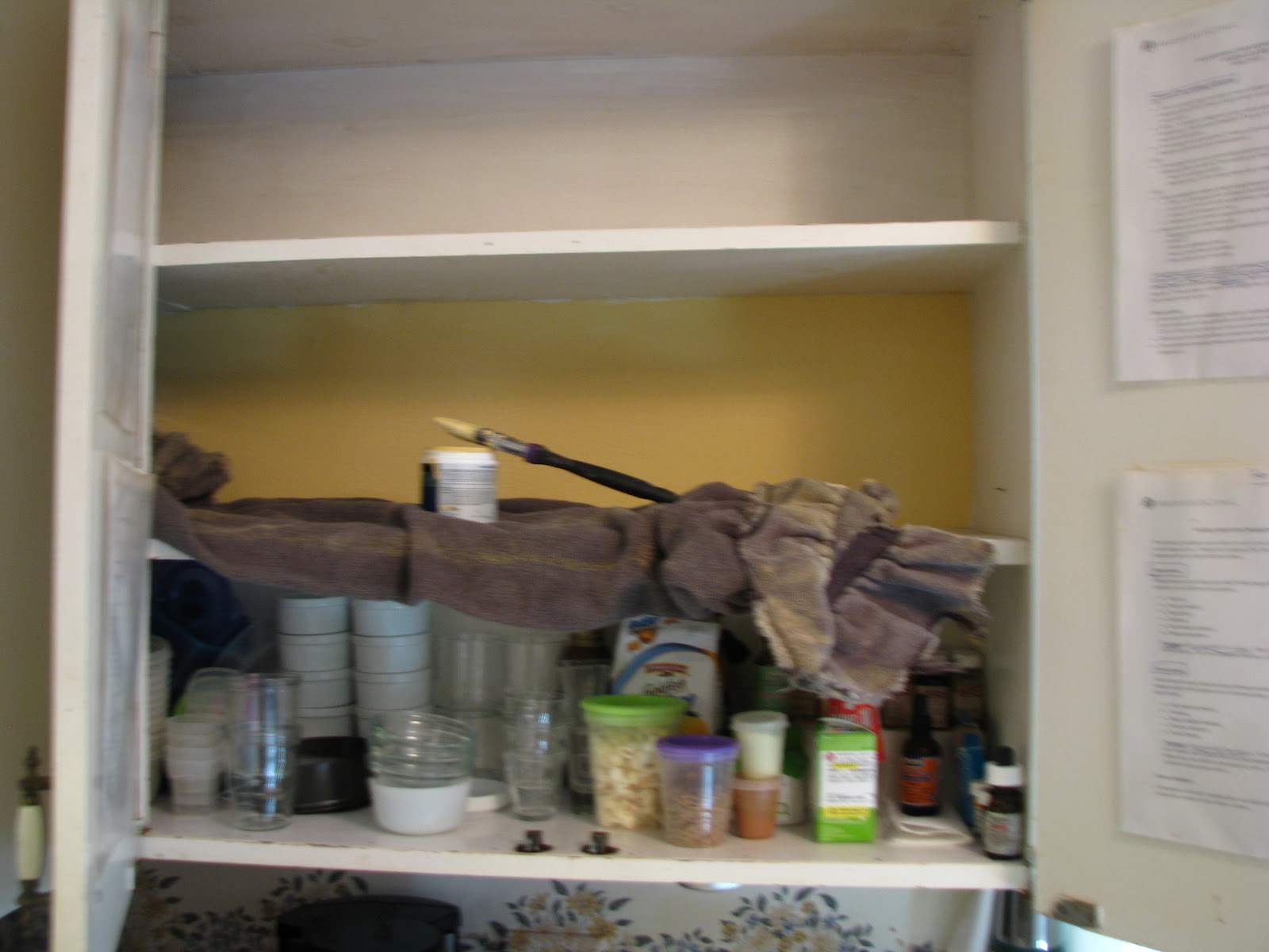 Movie Wallpaper Land Of The Lost