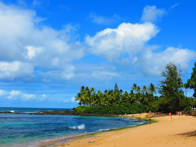 Blog Apaixonados por Viagens - Havaí / Hawaii , por Fernanda Magalhães