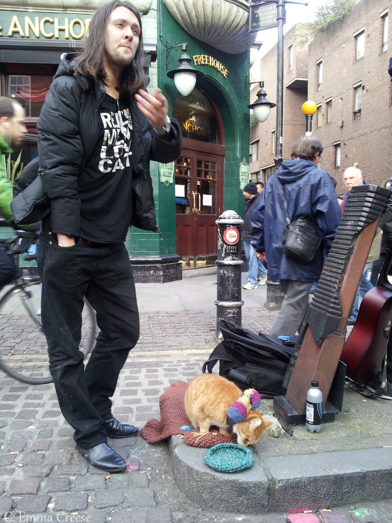 Street Cat Called Bob Dvd Release In Uk Street Cat Called Bob Dvd Release In Uk