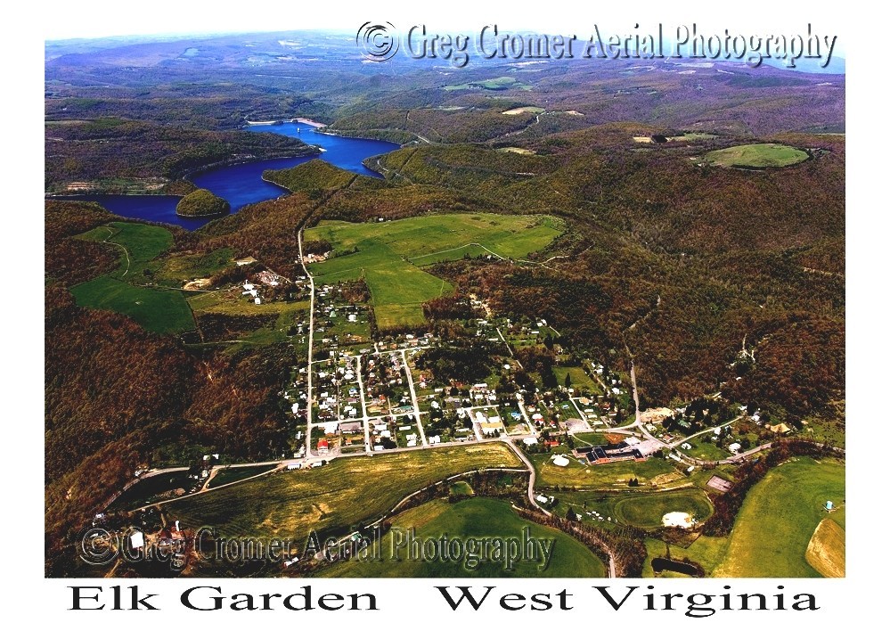 Elk Garden, West Virginia - West Virginia Elk