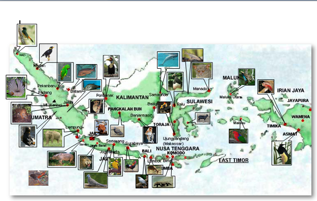peta fauna  di  indonesia  World Map Weltkarte Peta Dunia  