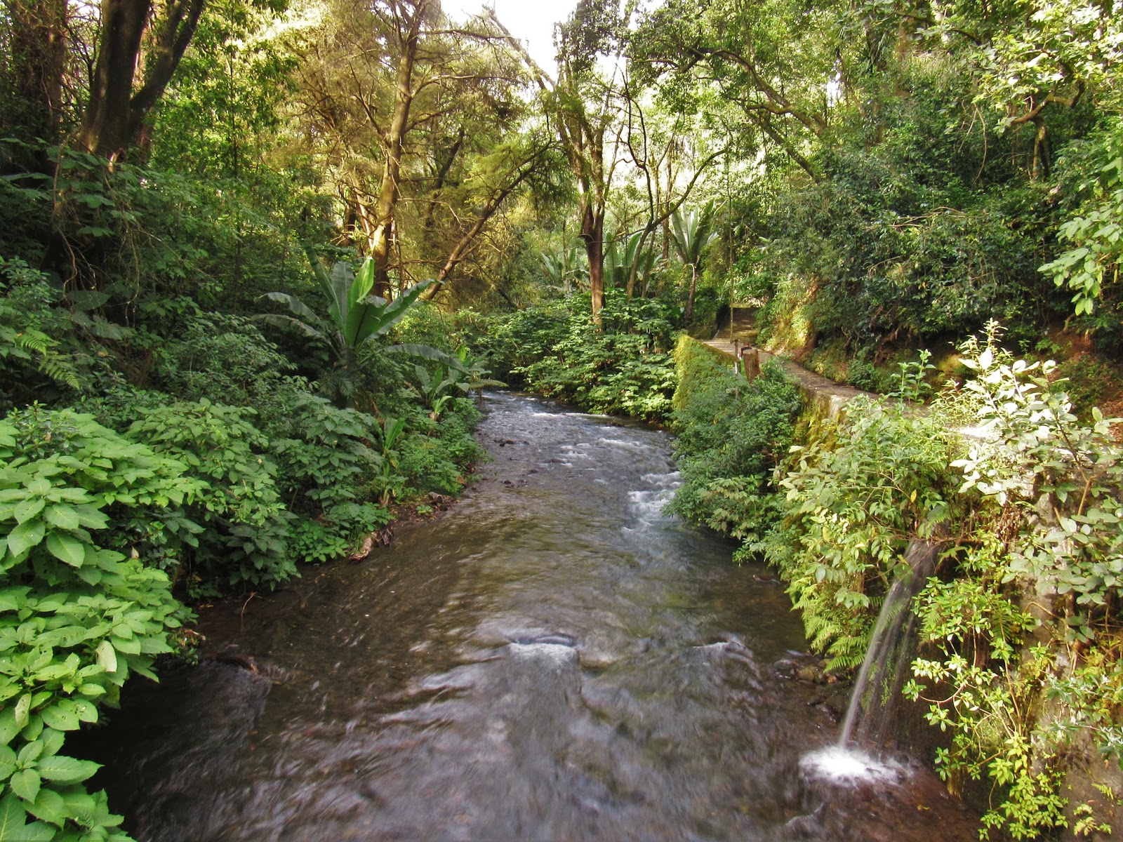 Uruapan Parque nacional Barrancas de Cupatitzio, Michoacán. MochileroMX