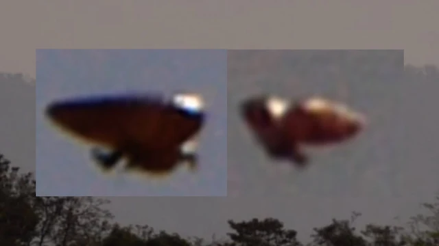 Is this a UFO or a shape shifting Alien which was caught on camera.