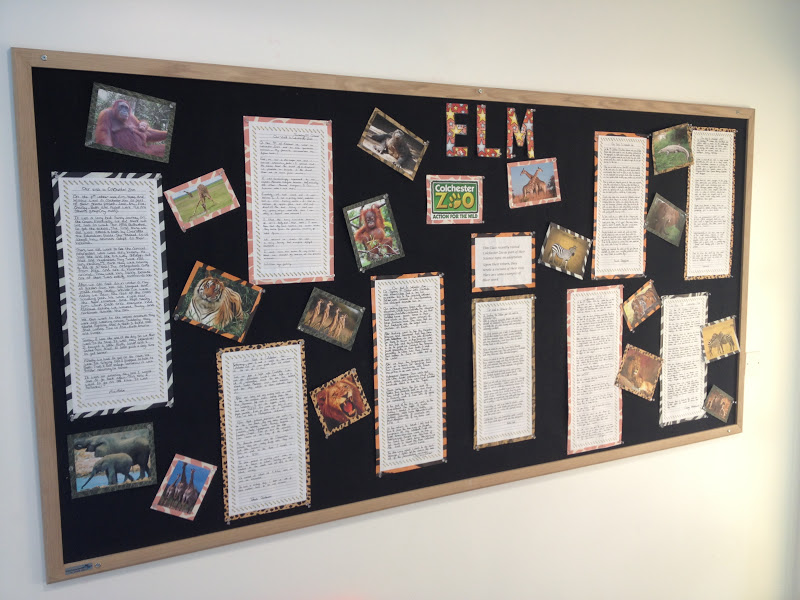 Broadford Primary: Elm's Colchester Zoo Display