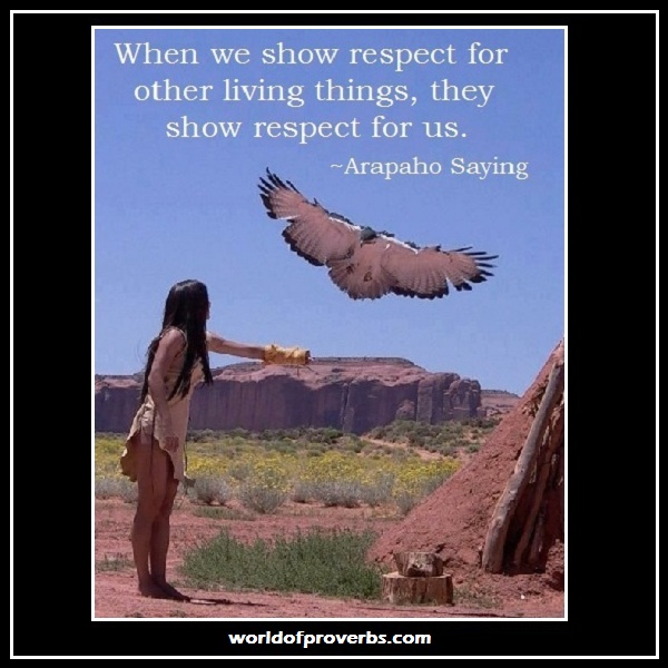 World of Proverbs: When we show our respect for other living things