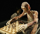 Anatomical Chess