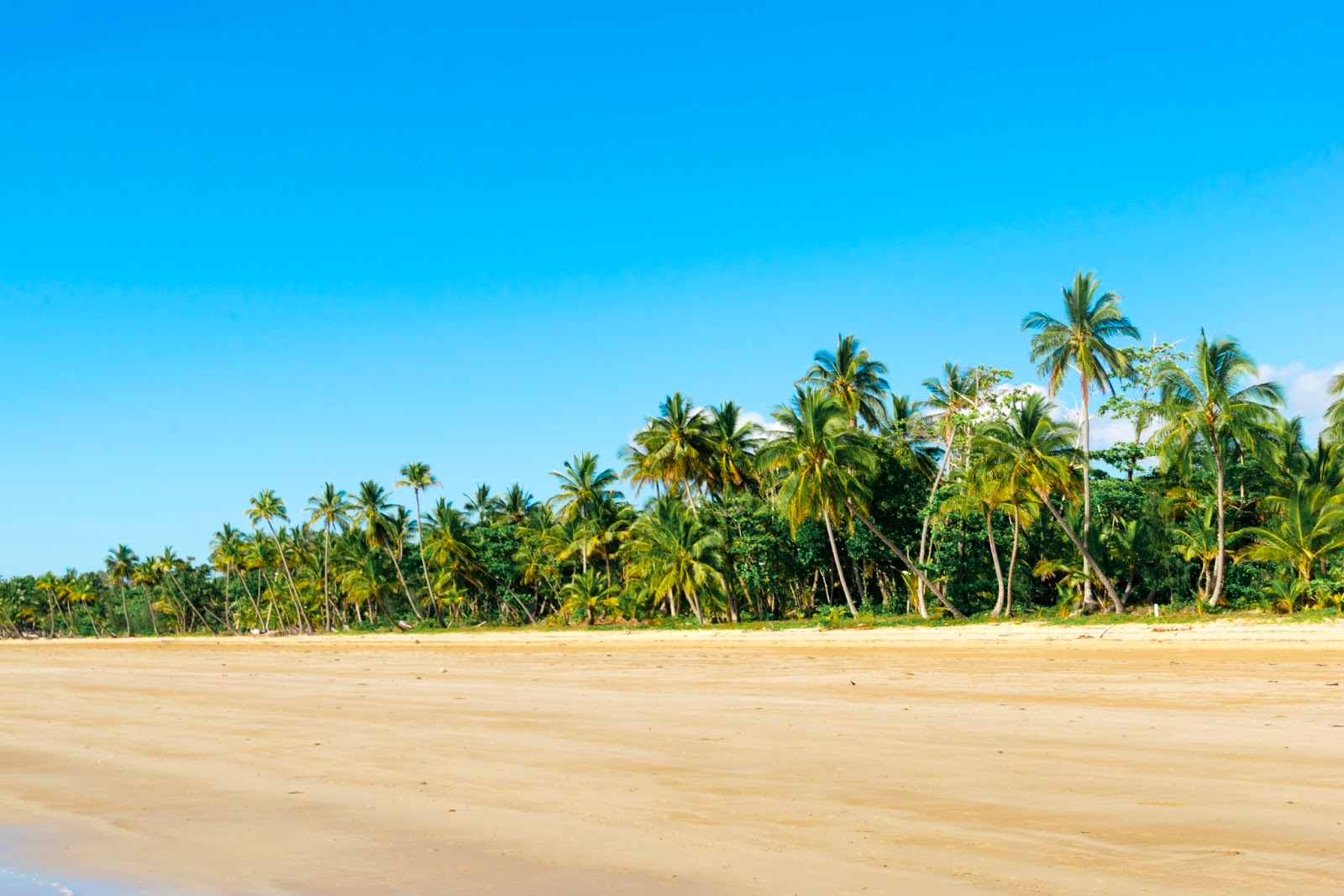 mission beach