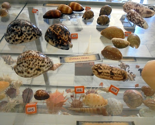 Μουσείο Φυσικής Ιστορίας στην Απείραθνο
