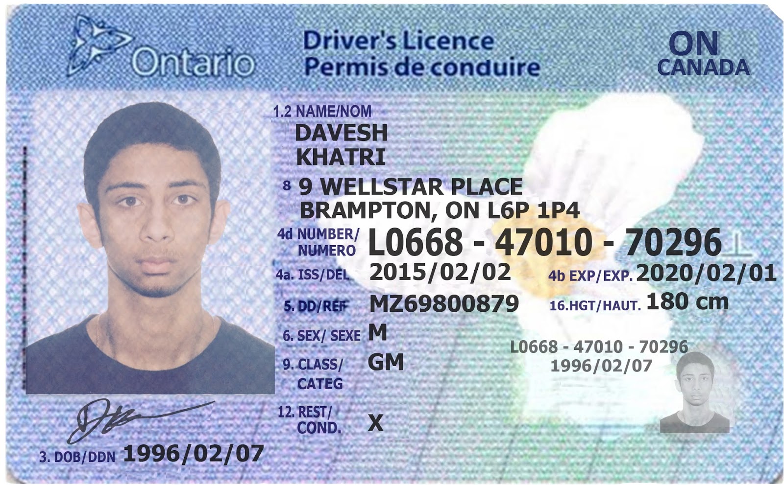 License name. Ontario Driver License. Canadian Driver License. Driving License Canada. Toronto Driver License.