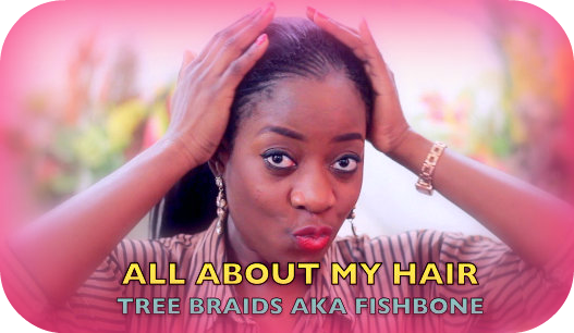  African Fishbone Braids