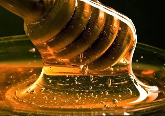 Το μέλι και οι ποικιλίες του - Τα φαγητά της γιαγιάς