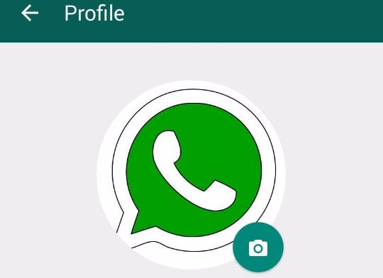 Whatsapp Profile Pictures, Latest Whatsapp DP Images