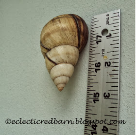 Eclectic Red Barn: Large snail's shell on the side of the house