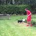 Ποιον ποδοσφαιριστή πρέπει να αντικαταστήσει ο σκύλος του Μεσούτ Εζίλ...