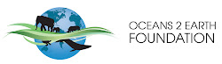 O2E Foundation logo