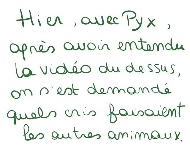 Quel Est Le Cri Du Renard AD_e : Quel est le cri du renard