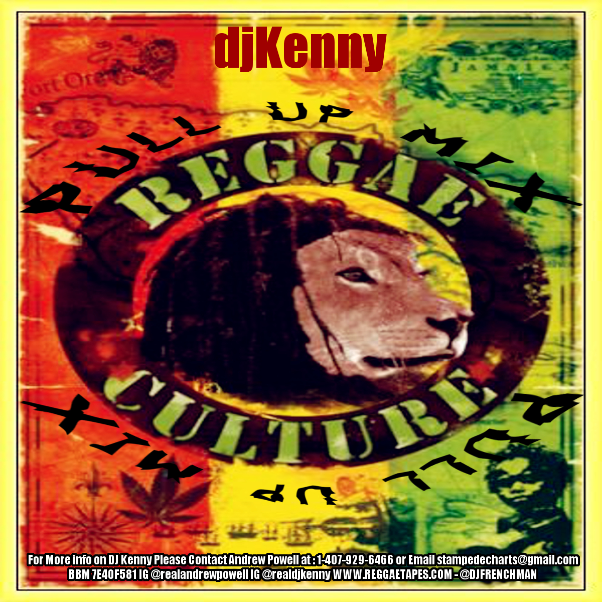 DJ KENNY PULL UP REGGAE MIX