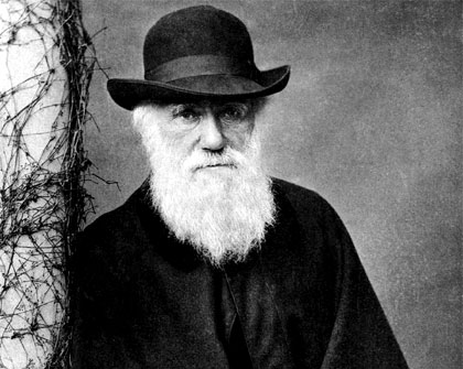 Liderança a La Charles Darwin Liderança a La Charles Darwin