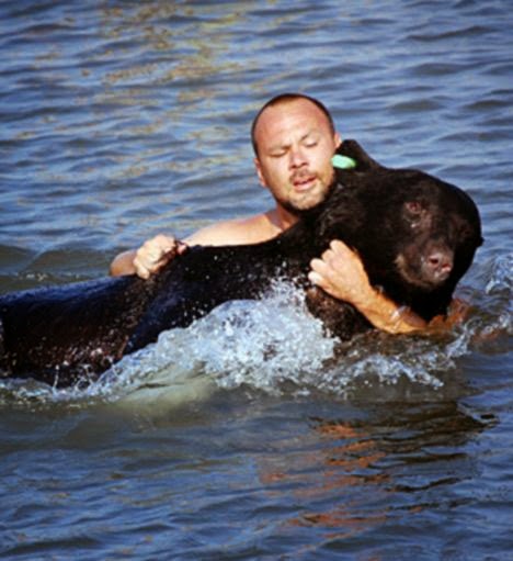 The King Of All Men Saw Something Drowning In The Ocean. And I Still Can’t Believe What He Did. - The bear tried lunging at Adam to climb on top of him and stay afloat, but he was losing the ability to move his legs.