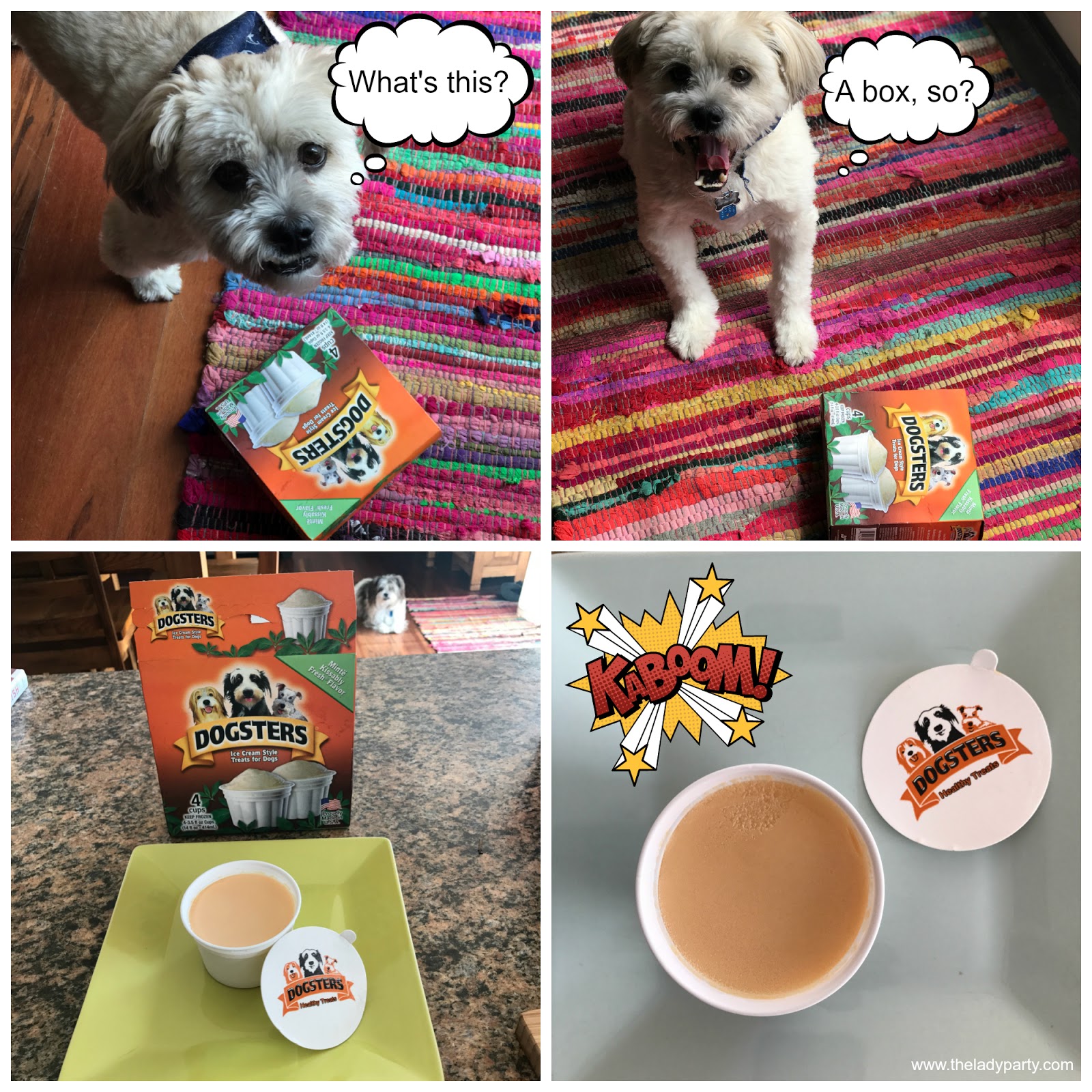 The Lady Party Dogsters Ice Cream Style Treats for Dogs