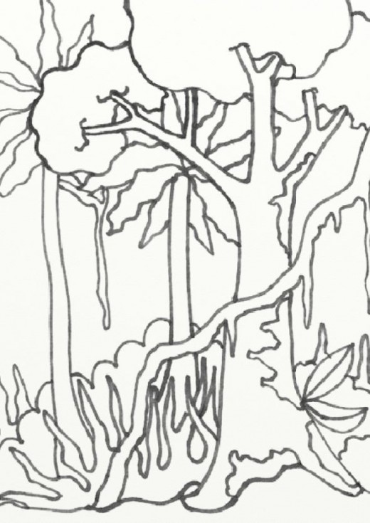 rain forest coloring pages - photo #16