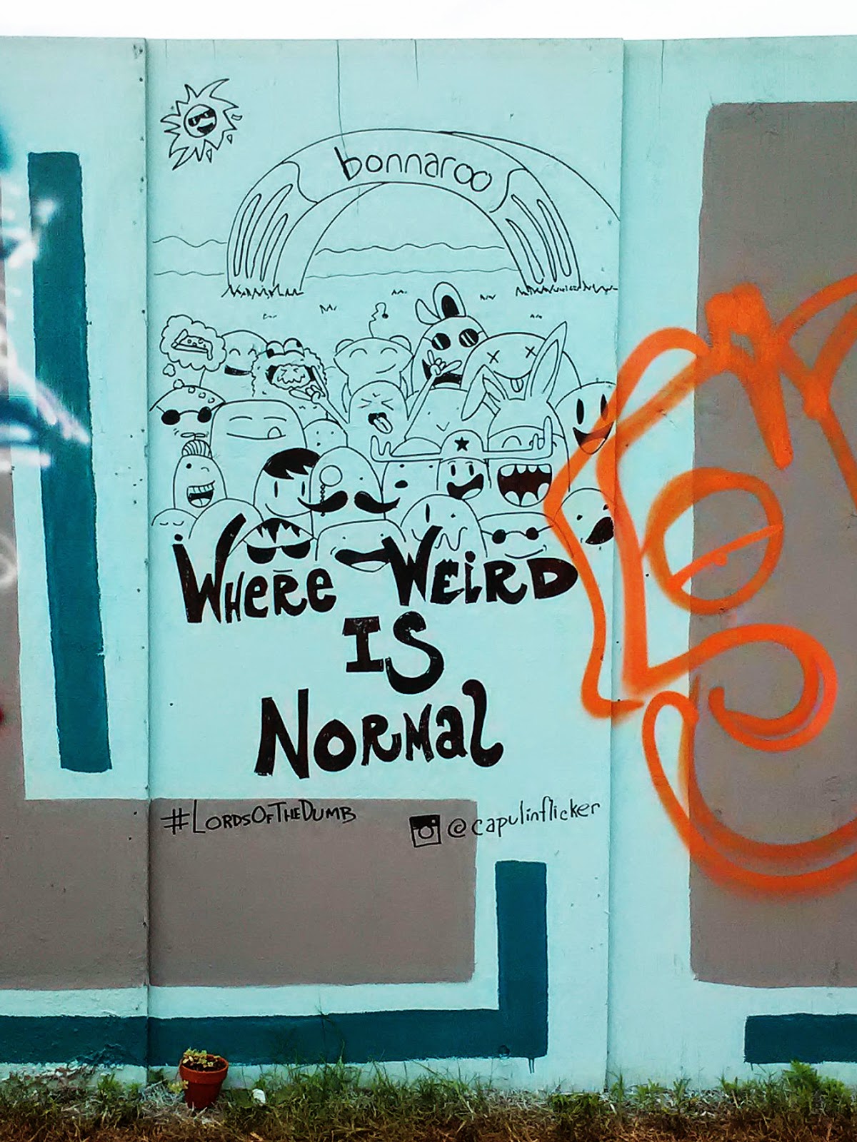 Where Weird Is Normal, Bonnaroo 2014