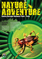 nature poster adventure usually learn