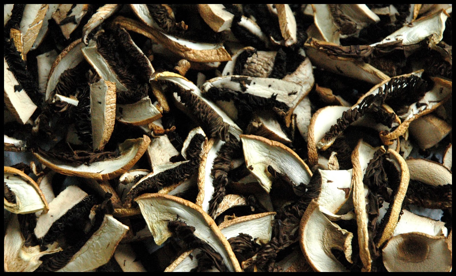 Driftwood Vegans Dried Mushrooms