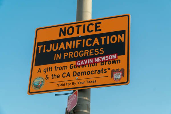tijuana-1--600x400.jpg