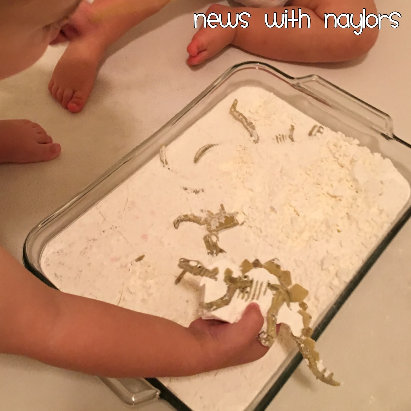 Digging for Dinosaur Fossils