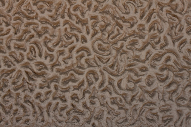 Stone Spirals Texture