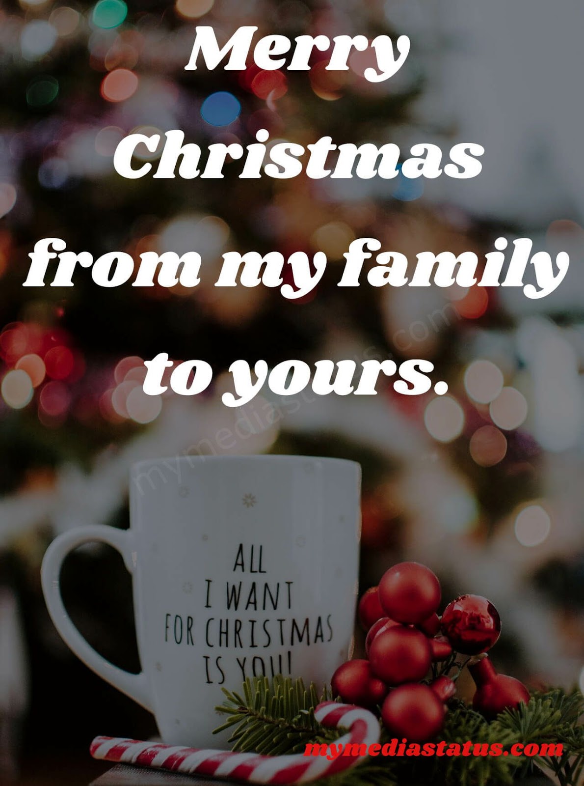 450+ Best Merry Christmas Wishes, Quotes,Text and Messages With Image