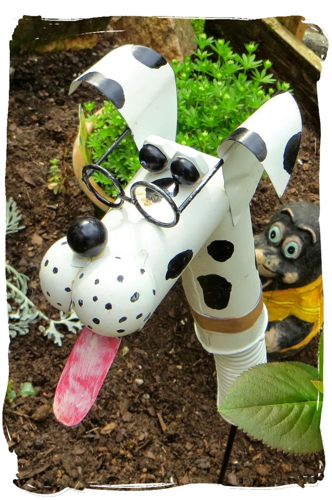 Tierisches Ein neuer Hund