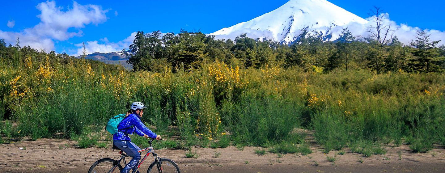 Vacation Home Rental in Puerto Varas, Chilean Patagonia: PARCELA