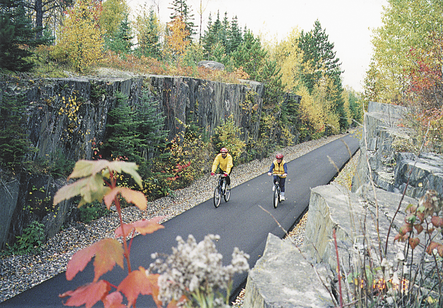 MN Bike Trail Navigator Planning that Minnesota Summer Biking Vacation