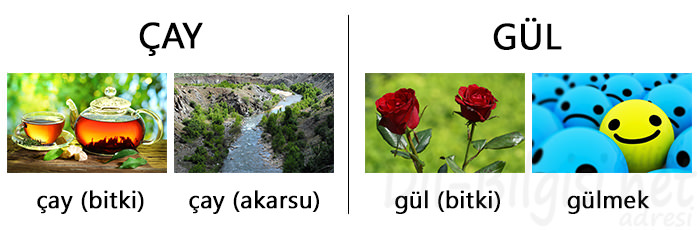 Anlam Bilgisi: Sözcükte Anlam
