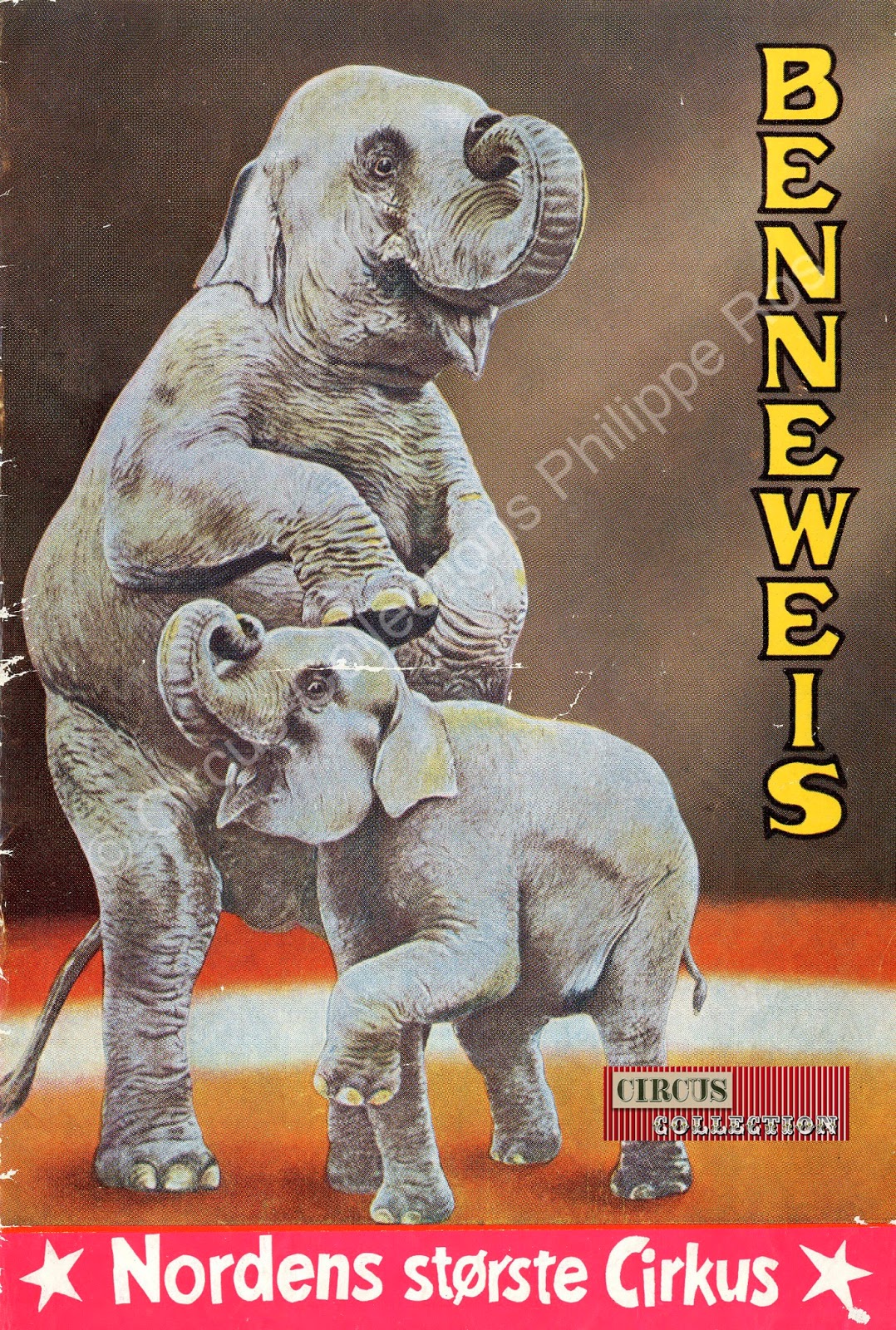 deux ellephants dessiné sur la couverture du programme du Cirque Benneweis 1959