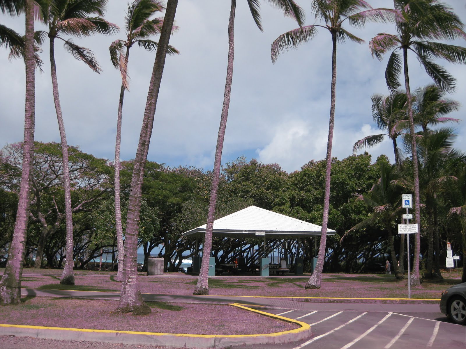 名所から秘密のビーチまで 私家版ハワイ島ガイドブック ハワイ島の 温泉 アハラヌイ パーク ホット ポンド