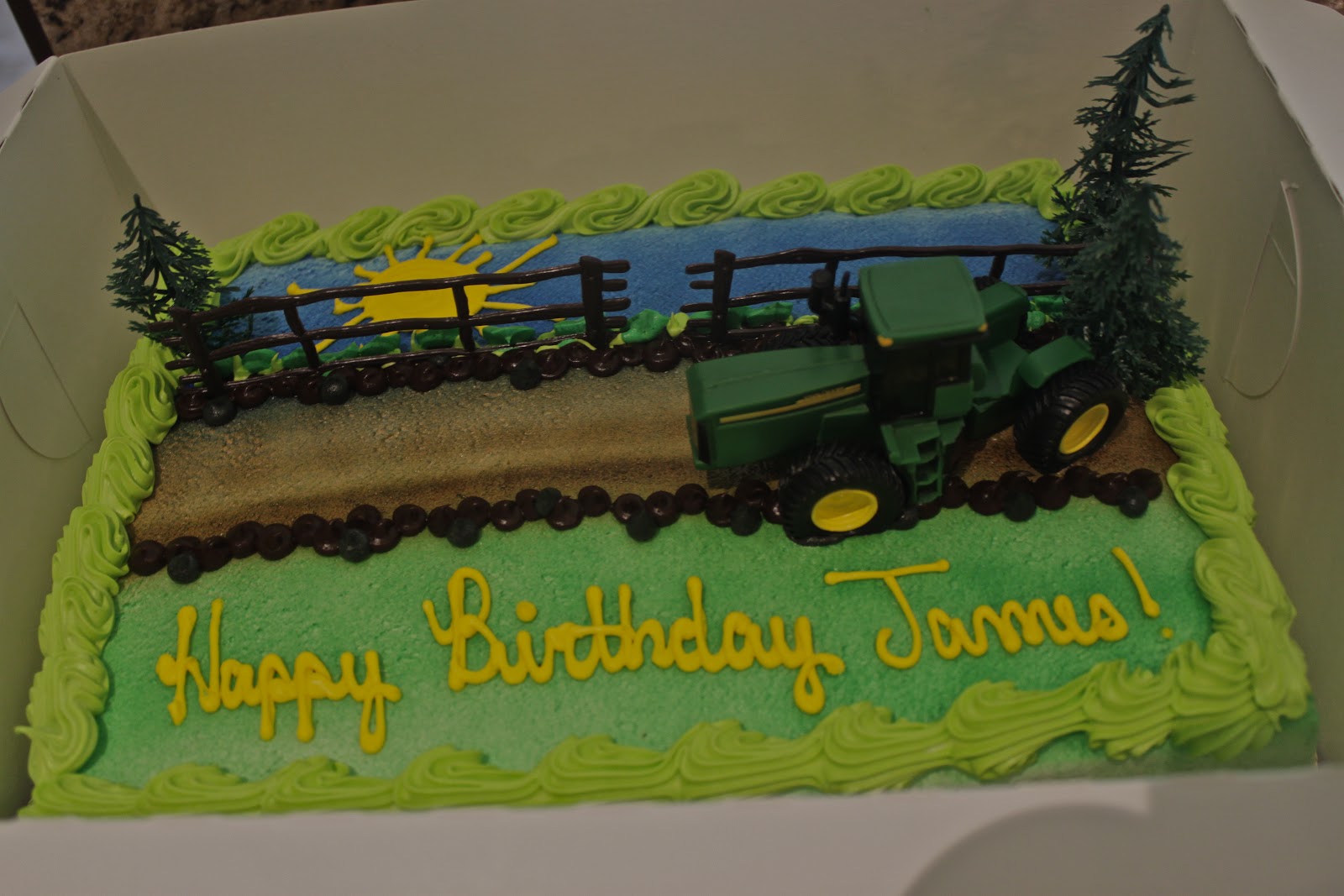 Life in the Fast Lane Princess/Tractor Birthday Party