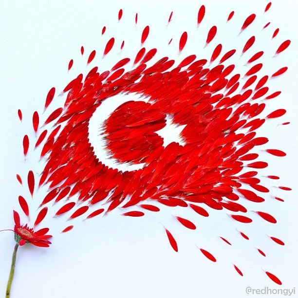 Beyaz turk bayragi resimleri 2