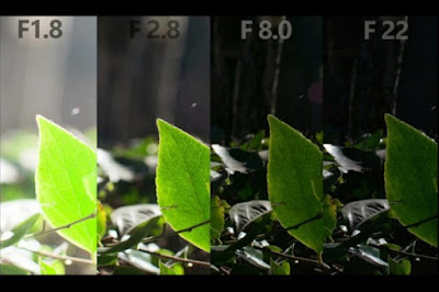 does-more-megapixel-mean-better-camera-8 does-more-megapixel-mean-better-camera-8