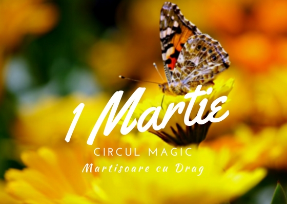 Martisoare Quilling 2017 Fluturi Handmade Circul Magic
