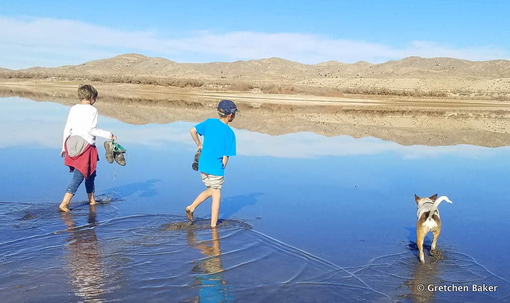 Desert Survivor Walking Around (Through) Pruess Lake