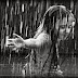 Children In Rain Pictures, Images & Photos