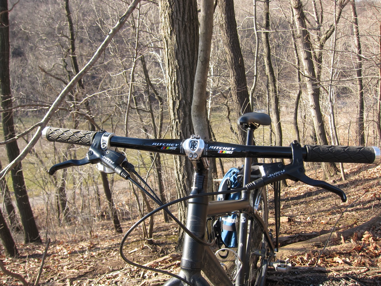 ritchey wcs flat