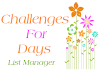 I Volunteer at Challenges for Days